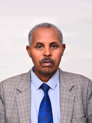 አቶ ኣዳነ ዋለ